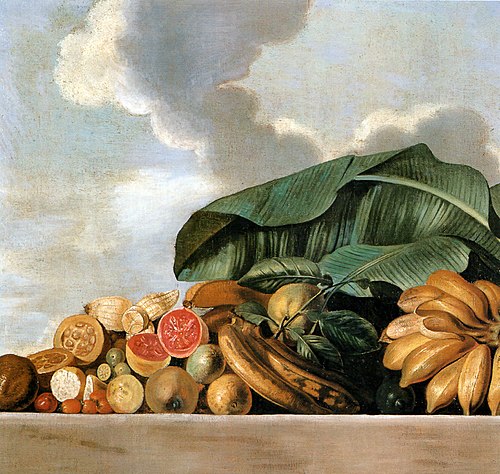 Still-life of citrus fruit and bananas, 1643, Albert Eckhout