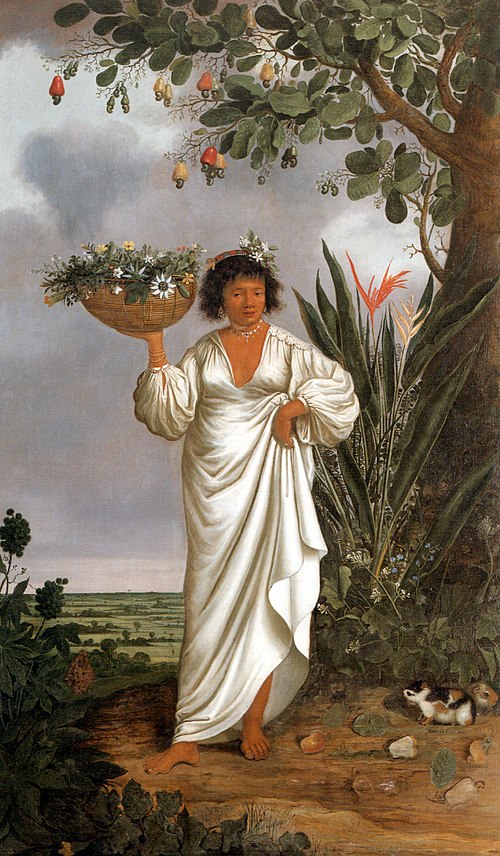 Portrait of a Mameluca Woman, 1641, Albert Eckhout