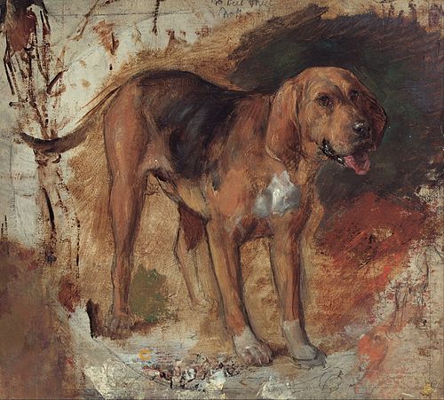 Study of a bloodhound, 1848, William Holman Hunt