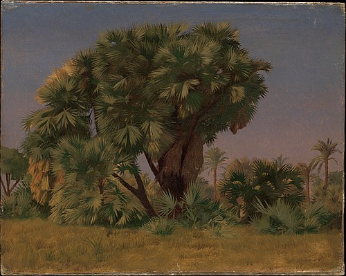 Study of Palm Trees, 1868, Jean-Léon Gérôme