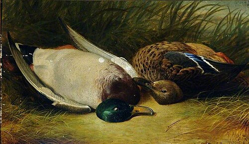 Still Life, 1855, Abel Hold