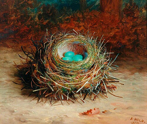 Hedge Sparrow's Nest, 1870, Abel Hold