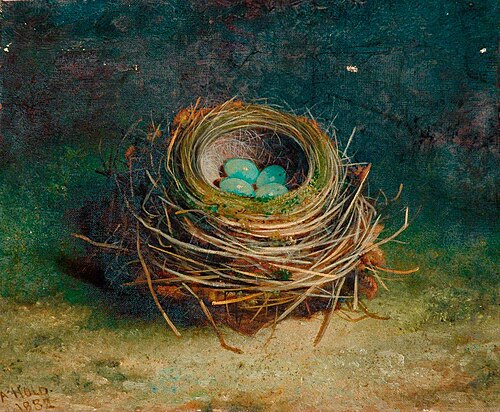 Nest of a Song Thrush, 1882, Abel Hold