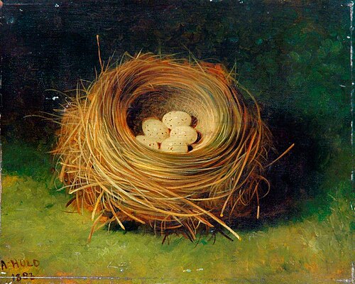 Nest of a Bunting, 1883, Abel Hold