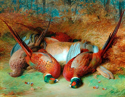 Moorland Scene with Game, 1888, Abel Hold