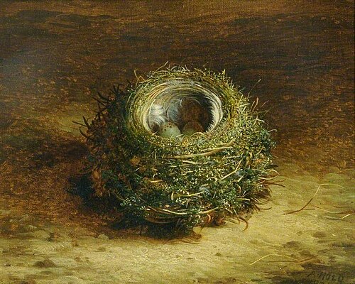 A Bird's Nest, , Abel Hold