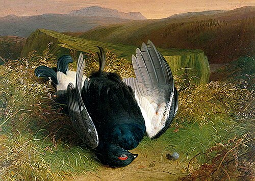 Still Life, Dead Game, , Abel Hold