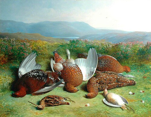 Moorland Scene with Dead Grouse, , Abel Hold