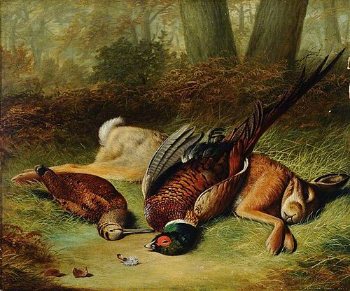 Still Life, , Abel Hold