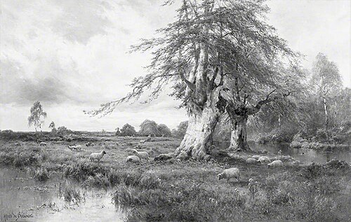 Burnham Beeches, Buckinghamshire, 1900, Alfred de Breanski