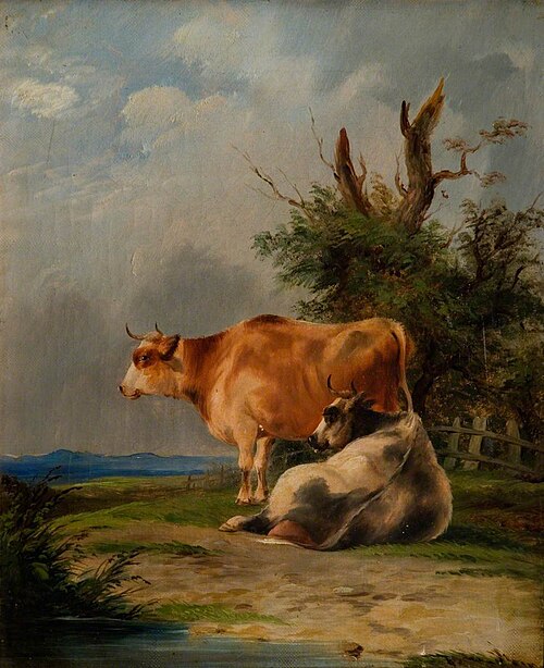 Brown Cows Standing, , Charles Shayer