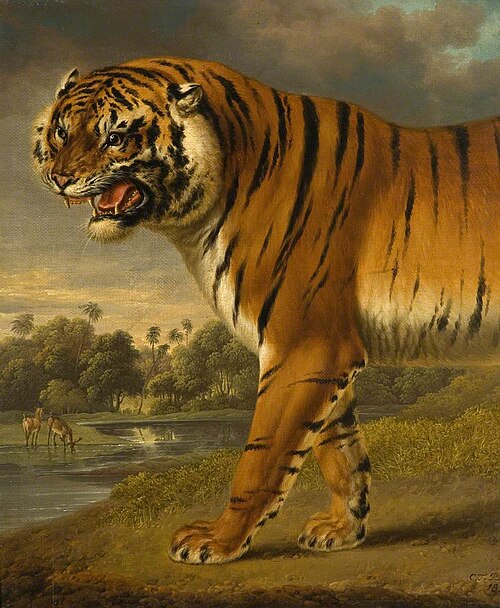 A Tiger, 1818, Charles Towne