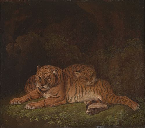 Tiger, 1800, Charles Towne