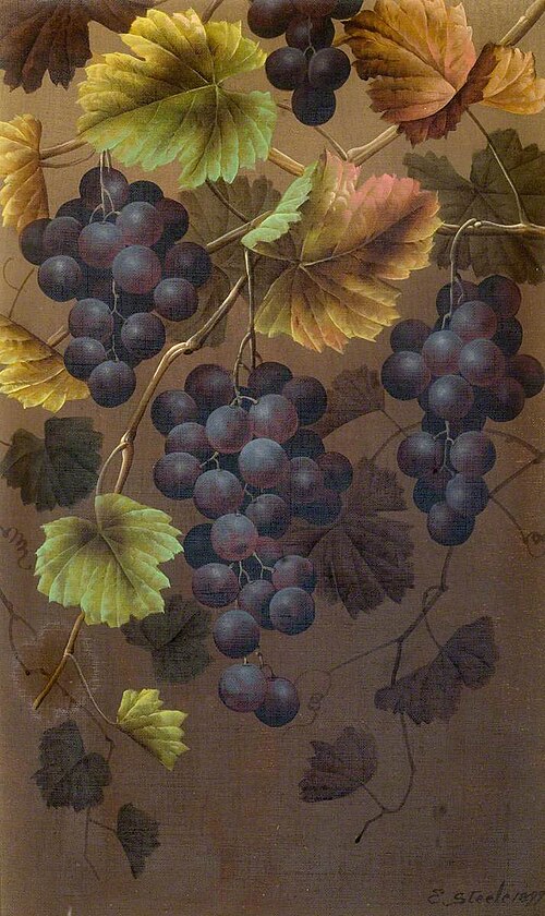 Still Life of Fruit, 1899, Edwin Steele