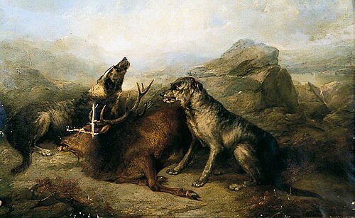 Stag and Dogs, 1858, George Armfield