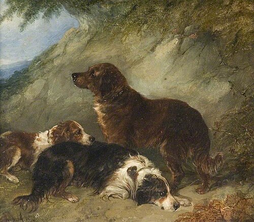Dogs, 1870, George Armfield
