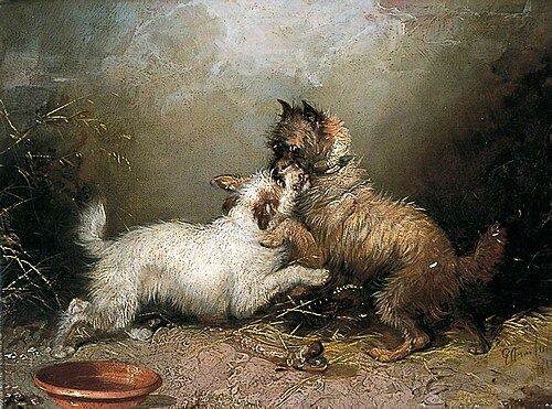 The Bone of Contention, 1872, George Armfield