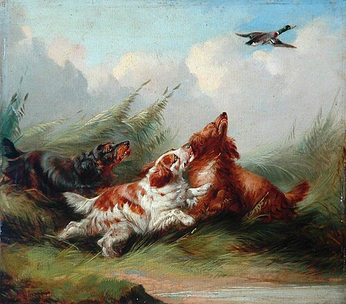 Three Spaniels and a Flying Mallard, , George Armfield