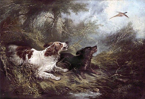Two Spaniels Putting Up a Pheasant, , George Armfield