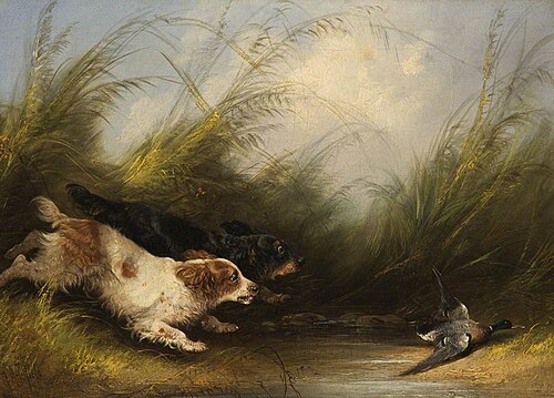 Dogs and Wild Duck, , George Armfield
