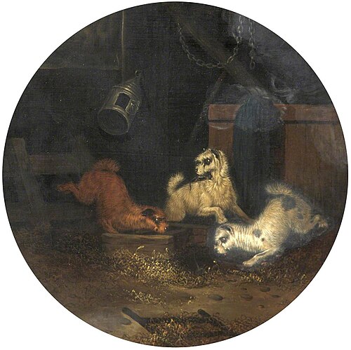 Ratters, , George Armfield
