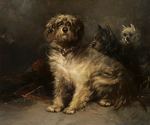 Study of Dogs, , George Armfield