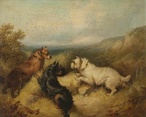 Three Dogs, 1860, George Armfield