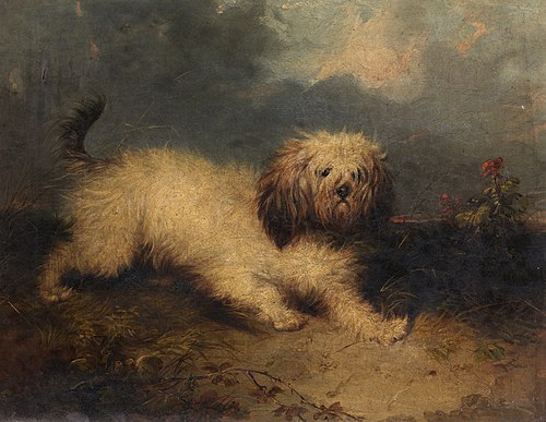 A Dog, , George Armfield