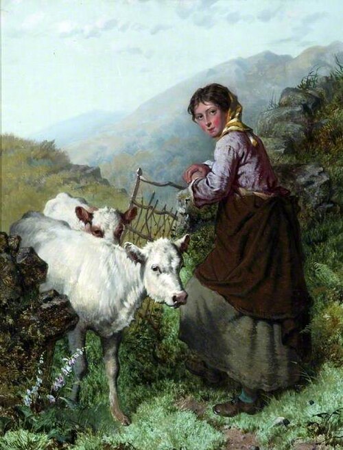 Cattle Fold, , Isaac Henzell