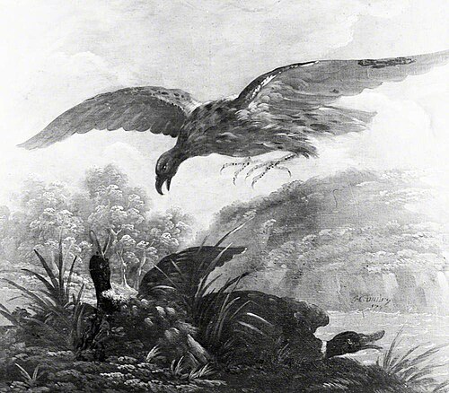 An Eagle Attacking Two Ducks, 1753, Jacques Charles Oudry