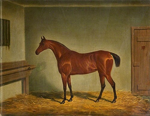 Mare, Castledillon Stables, 1831, James Loder