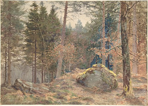 In a Welsh Pine Wood, 1891, James Thomas Watts