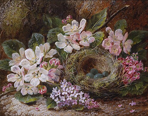 Apple Blossom and a Bird's Nest, , Oliver Clare