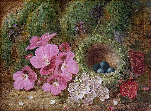 Bird's Nest with Flowers, , Oliver Clare