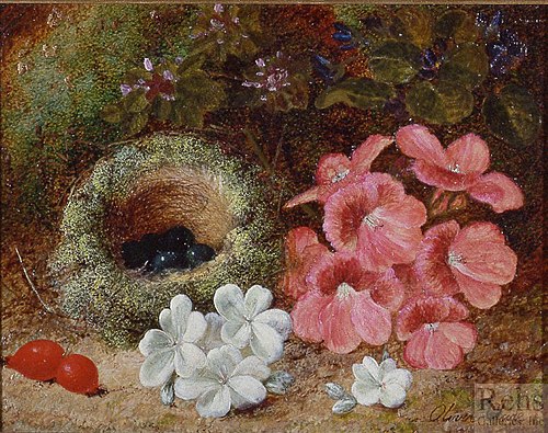 Flowers and a Bird's Nest, , Oliver Clare