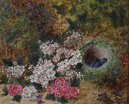Flowers and Bird's Nest by a Mossy Bank, , Oliver Clare