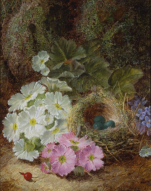 Flowers, a Berry and a Bird's Nest, , Oliver Clare