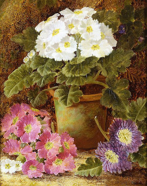 Potted Flowers, , Oliver Clare