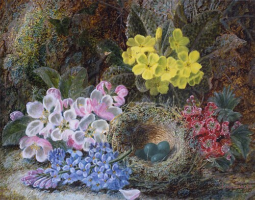 Primroses, Apple Blossoms and Bird's Nest, , Oliver Clare