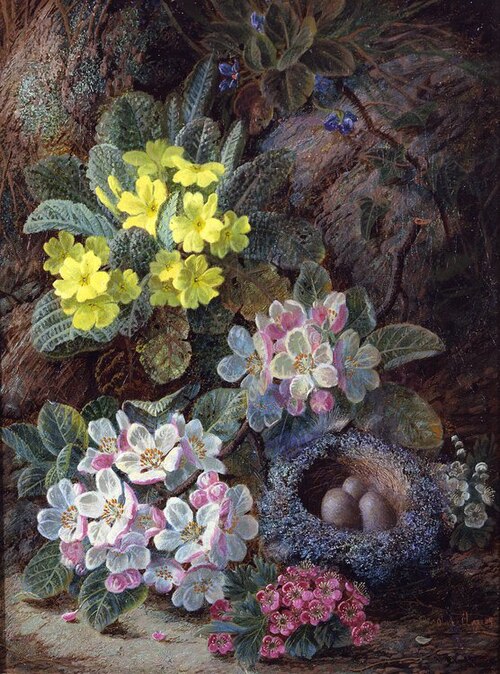 Still Life of Bird's Nest and Primroses, , Oliver Clare