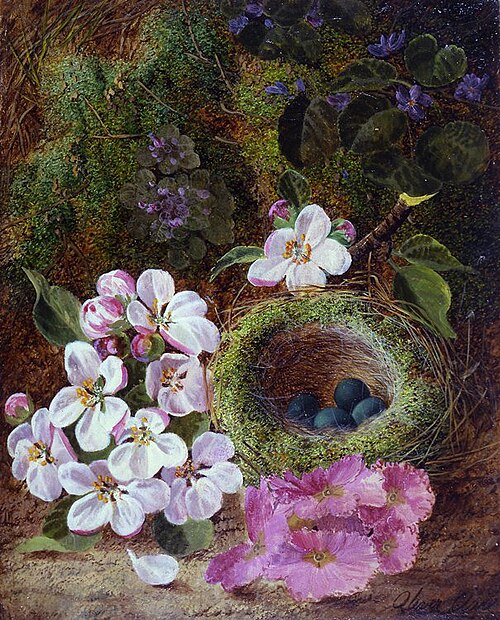 Still Life of Flowers and Bird's Nest, , Oliver Clare