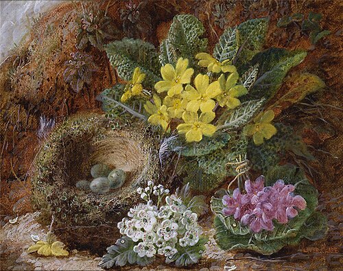 Still Life of Primroses and Bird's Nest, , Oliver Clare