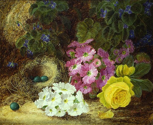 Still Life with Bird's Nest, , Oliver Clare