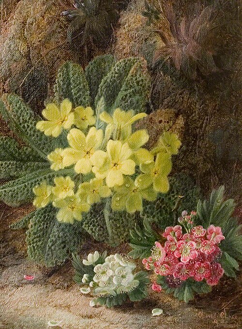 Primroses, 1893, Oliver Clare