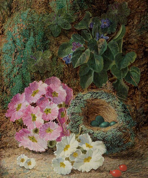 A Bird's Nest and Flowers, , Oliver Clare