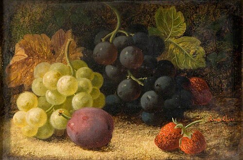 Still Life, Fruit, , Oliver Clare
