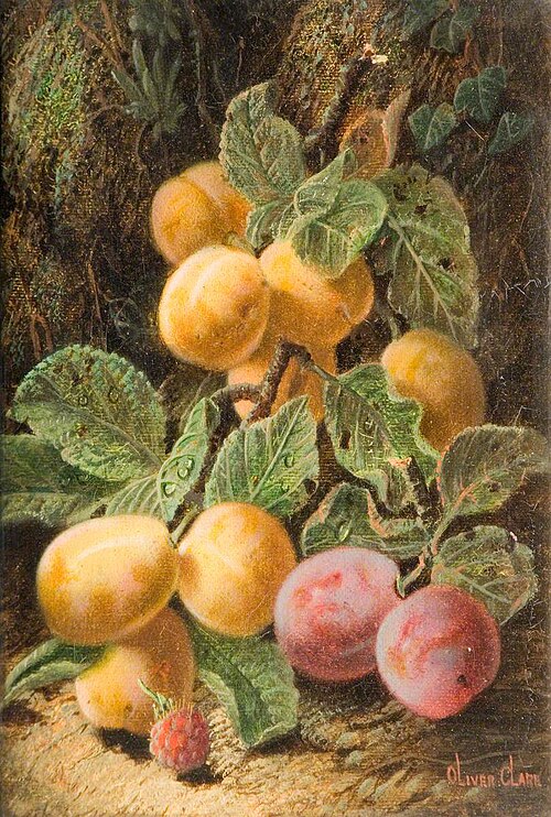 Still Life, Fruit, , Oliver Clare