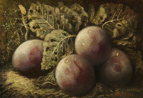 Still Life with Fruit, , Oliver Clare