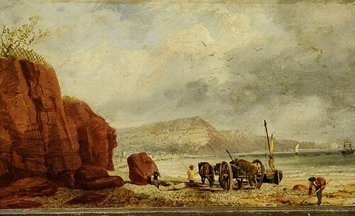 Coast Scene near Sidmouth, Devon, , Richard Beavis