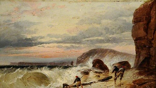 Near Sidmouth, Devon, , Richard Beavis